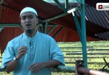 Ceramah Dan Tausiyah Islam: Dosa Lisan