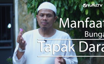 Ceramah Singkat : Manfaat Bunga Tapak Dara – Sinshe Abu Muhammad Faris Al Qiyanji