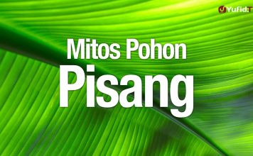 Ceramah Singkat: Mitos Pohon Pisang – Ustadz Ahmad Zainuddin, Lc