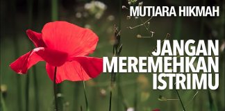 Jangan Meremehkan Istrimu – Ustadz Ahmad Zainuddin, Lc
