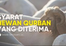 Kriteria Hewan yang Cacat dan Syarat Hewan Qurban yang Diterima- Ustadz Jamaludin, Lc.