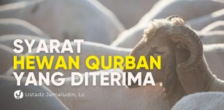 Kriteria Hewan yang Cacat dan Syarat Hewan Qurban yang Diterima- Ustadz Jamaludin, Lc.