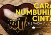 Cara Menumbuhkan Cinta Kepada Allah – Ustadz Jamaludin, Lc.