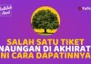 AMALAN INI BIKIN KITA DAPAT NAUNGAN DI AKHIRAT! SUDAH DIAMALKAN? – Fadhilah Amal